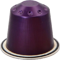 JARDIN REVE Well dressed