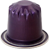 Vittoria RISTRETTO 紫色